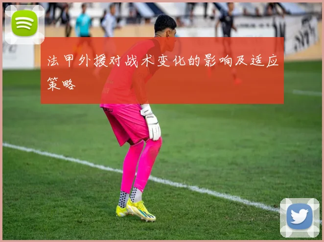 法甲外援对战术变化的影响及适应策略